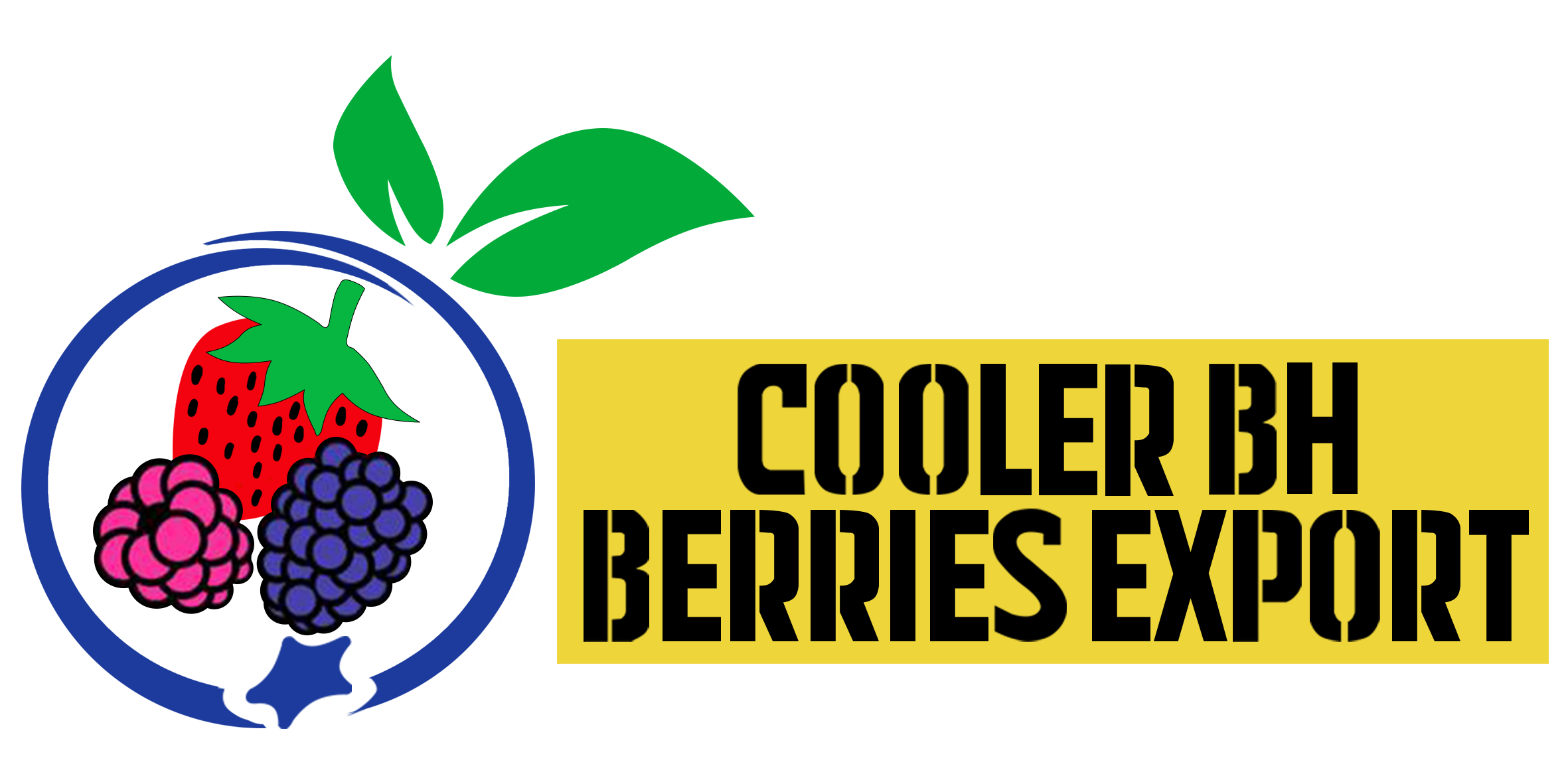 Coolers BH Berries Export